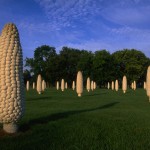 Corn Sculpture by Malcolm Cochran Dublin Ohio